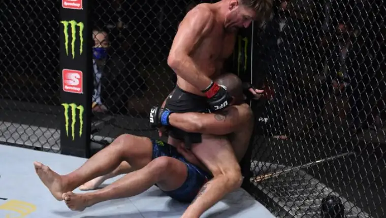 Miocic stipe