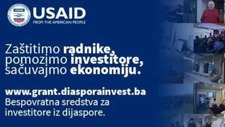 Usaid diaspora