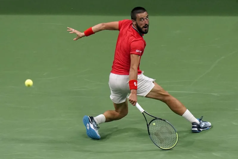 Damir dzumhur44