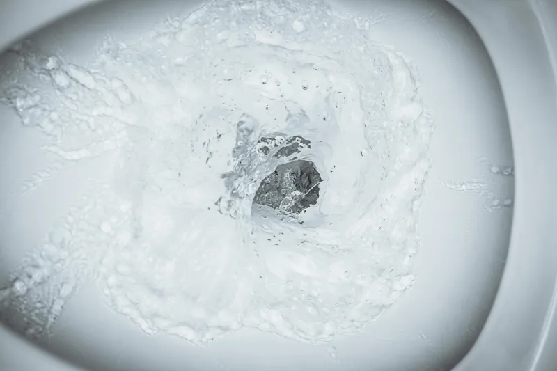 Toilet Flushing