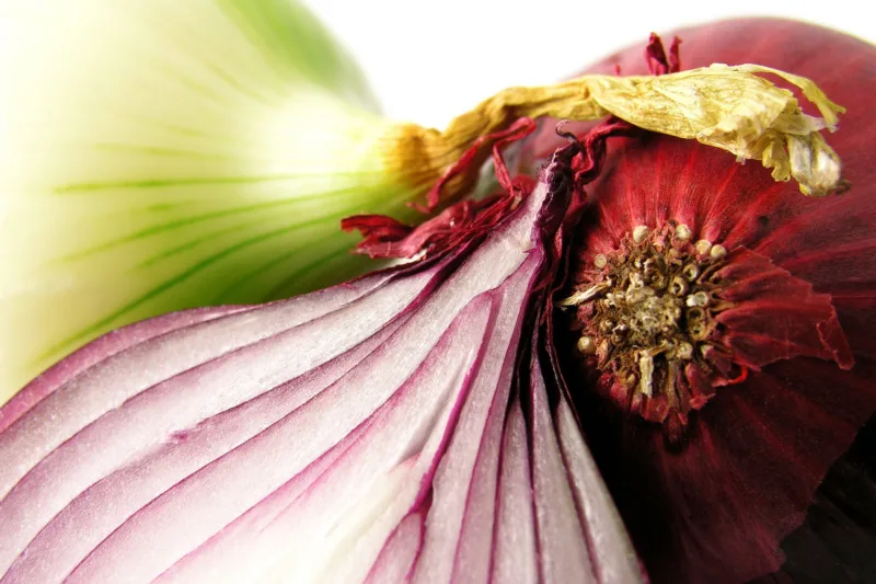 Onions poisoning