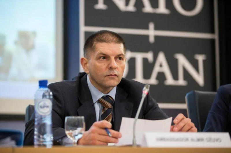 Almir dzuvo11