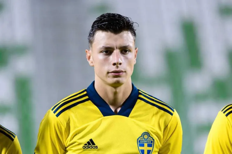 Anel ahmedhodzic