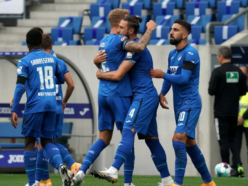 Ermin bicakcic hoffenheim 1
