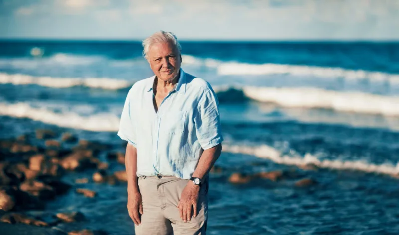 David Attenborough scaled