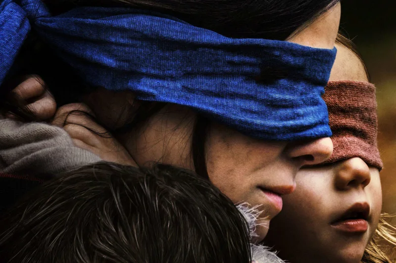 Bird box