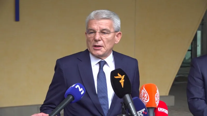 Sefik dzaferovic brisel