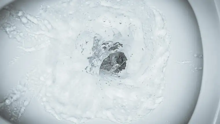 Toilet Flushing