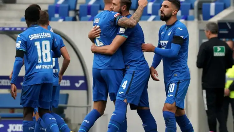 Ermin bicakcic hoffenheim 1