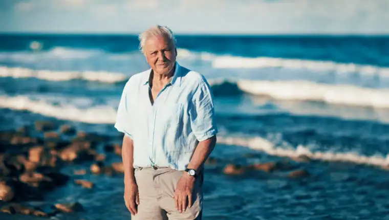 David Attenborough scaled