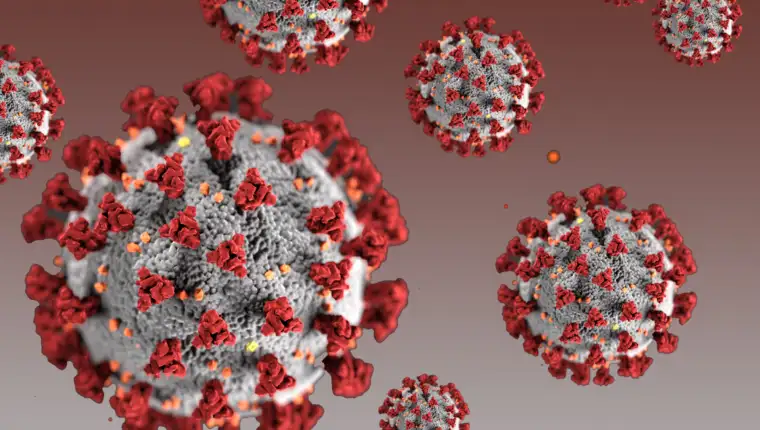 Koronavirus4