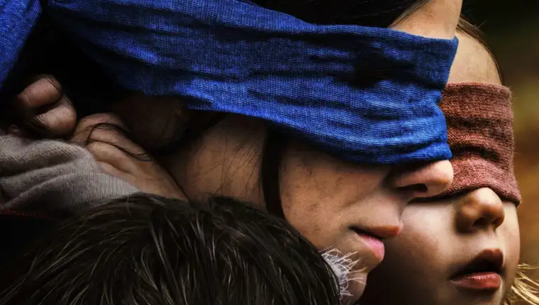 Bird box