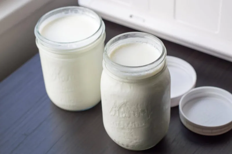 Jogurt2 scaled