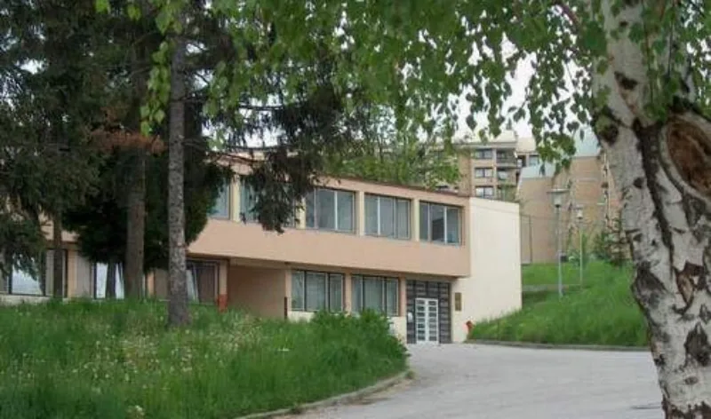 Fzs