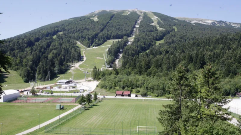 Bjela
