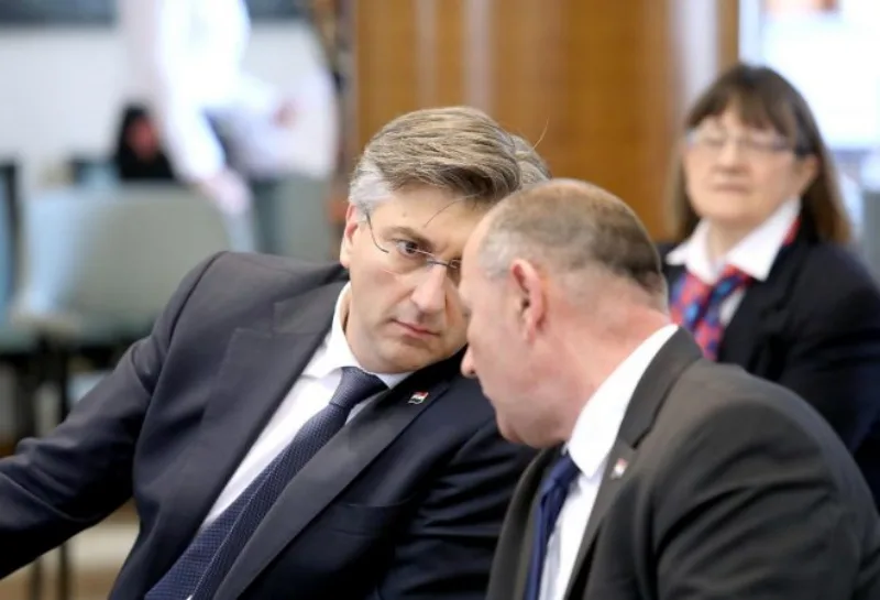 Medvedev plenkovic