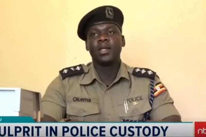 Nigerija policija