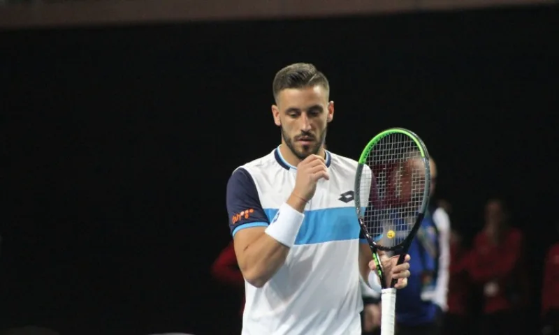 Dzumhur1