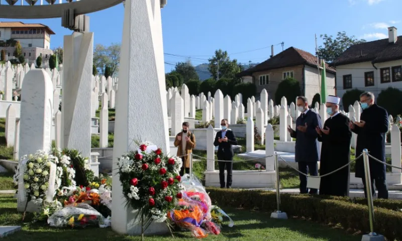 Reis kavazovic alija