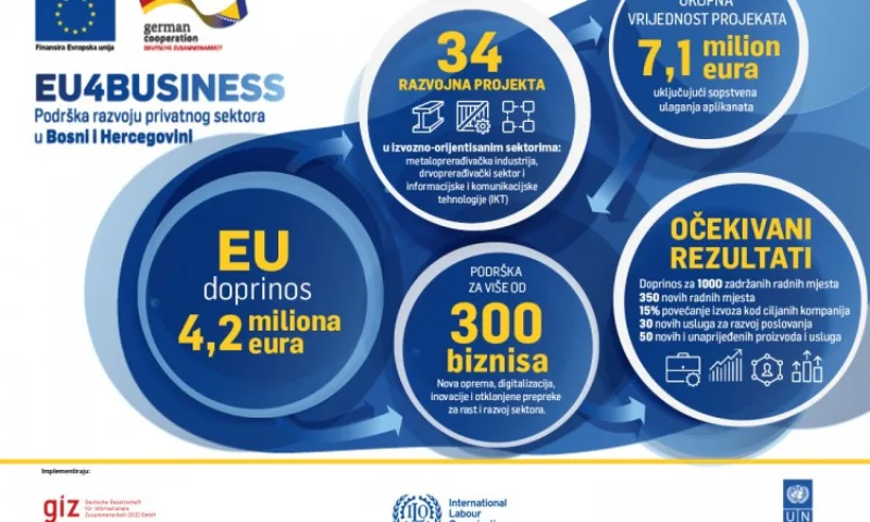 GIZ EU4 Business infografika BHS
