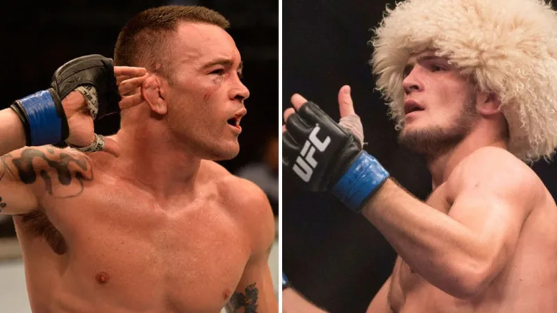 Colbi khabib