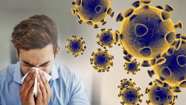 Coronavirus graphic web feature scaled 1