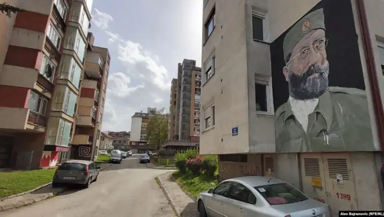 Mural draza foca