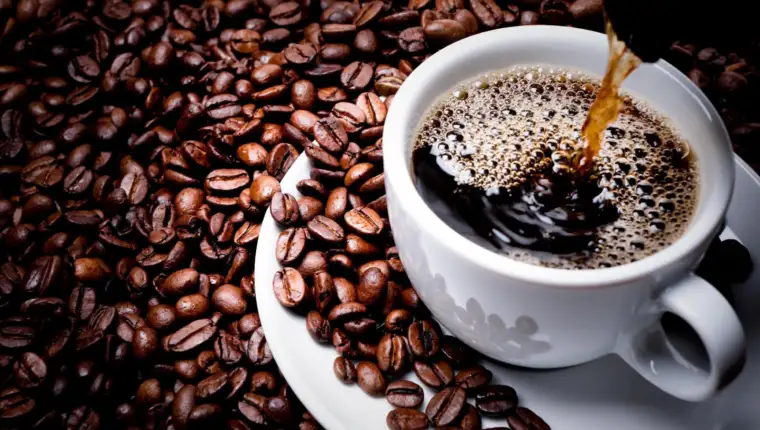 Coffee