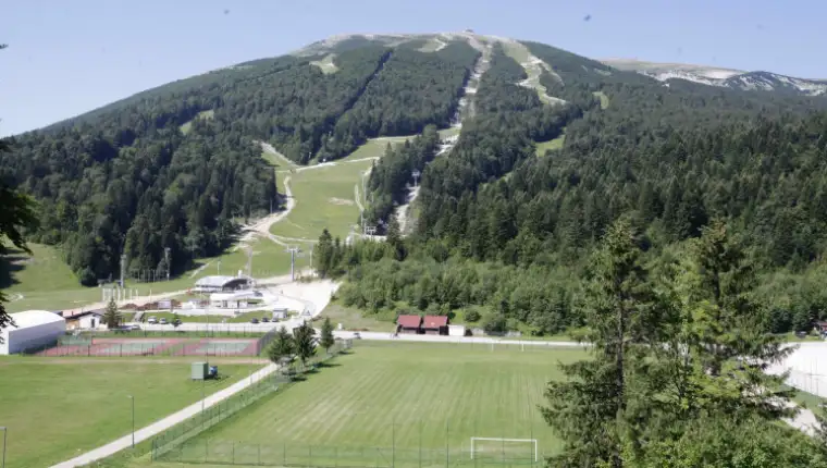 Bjela
