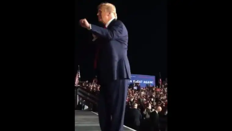 Trump plese