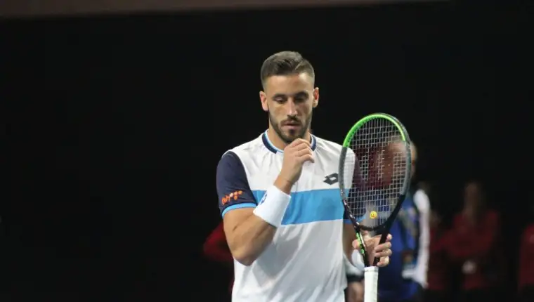 Dzumhur1