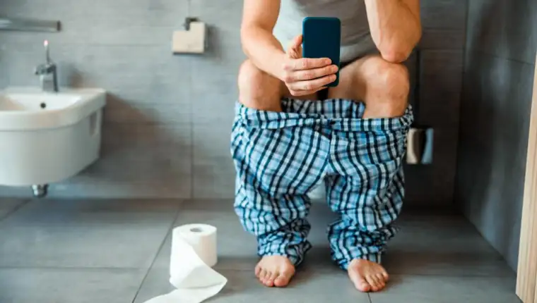 Mobitel wc
