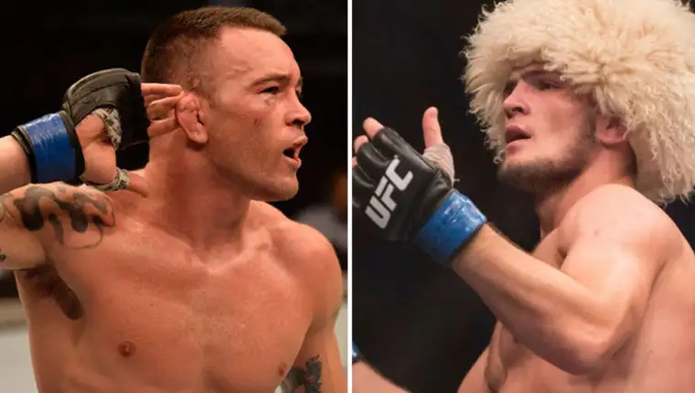 Colbi khabib