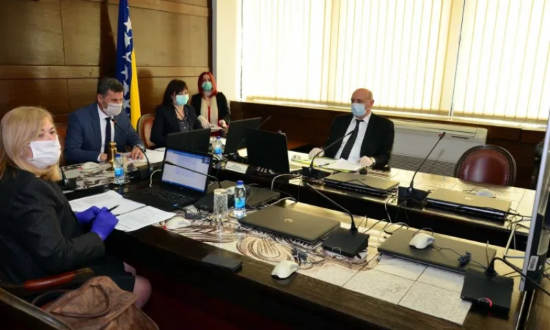 Vlada fbih13
