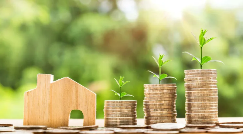 Wealth area feng shui tips
