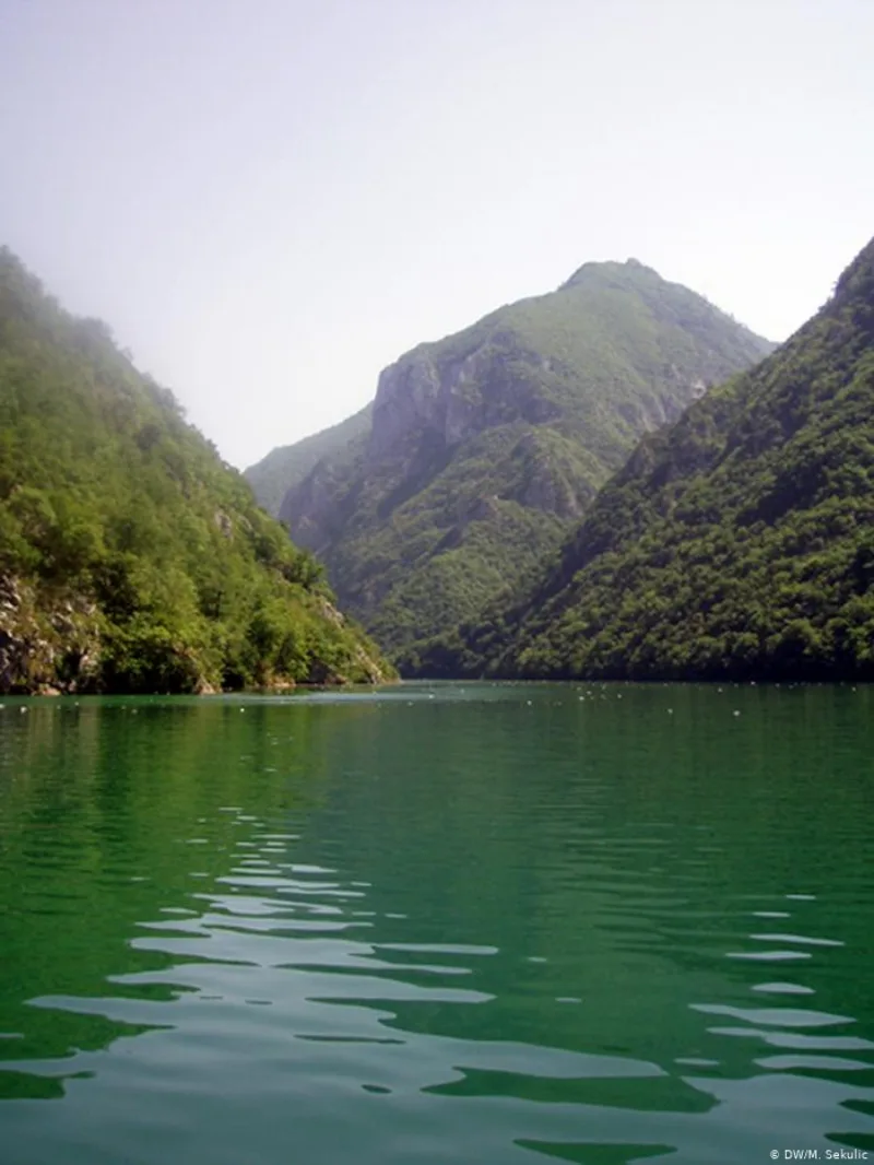 Drina