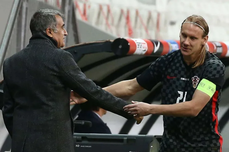 Domagoj vida