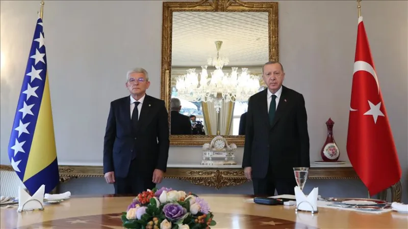 Erdogan dzaferovic