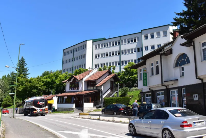 Tesanj2