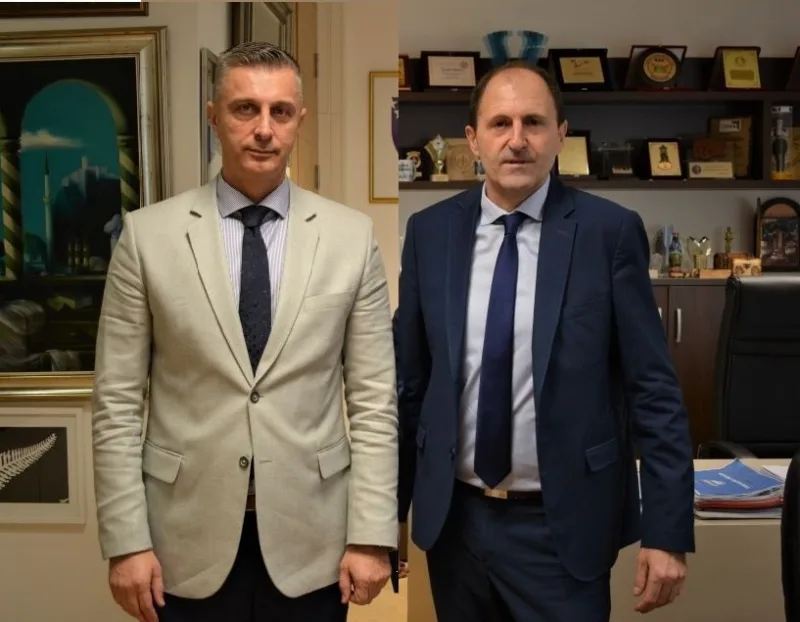 Celik i nenadic