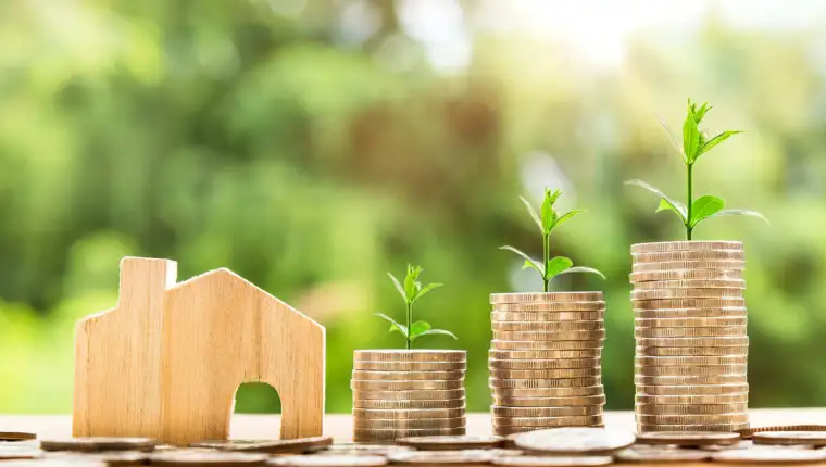Wealth area feng shui tips