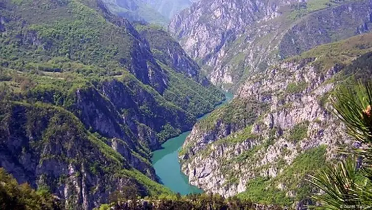 Kanjon drine