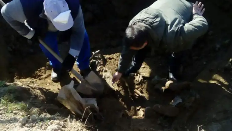 Ekshumacija srebrenica