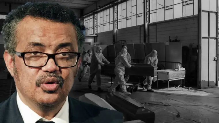 Tedros korona