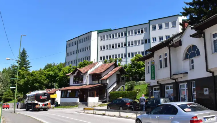 Tesanj2