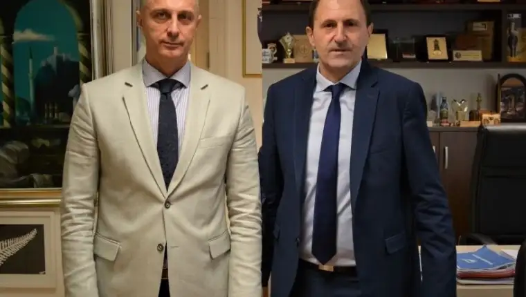 Celik i nenadic