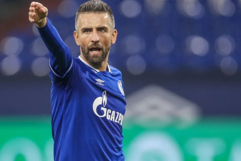 Vedad ibisevic