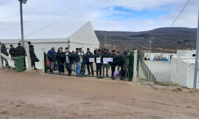 Kamp lipa