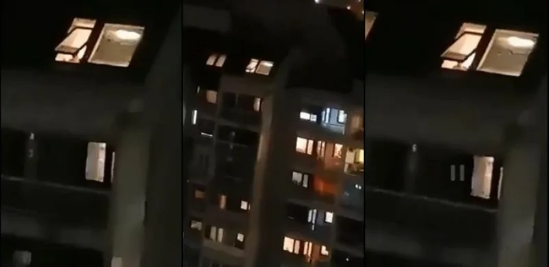 Tuzla noz zica