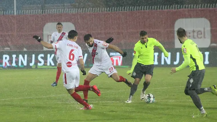 Zeljo zrinjski